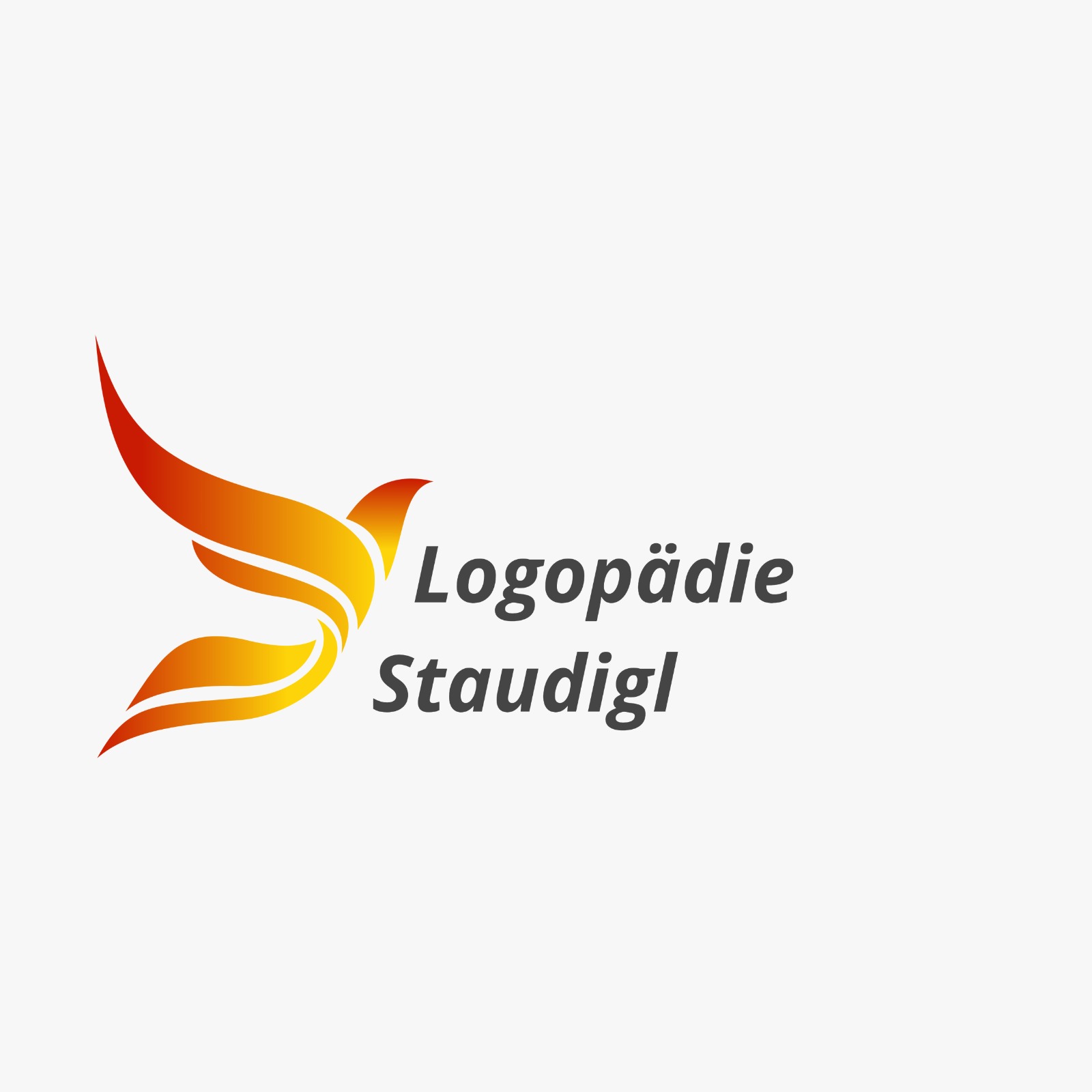 Logo Staudigl